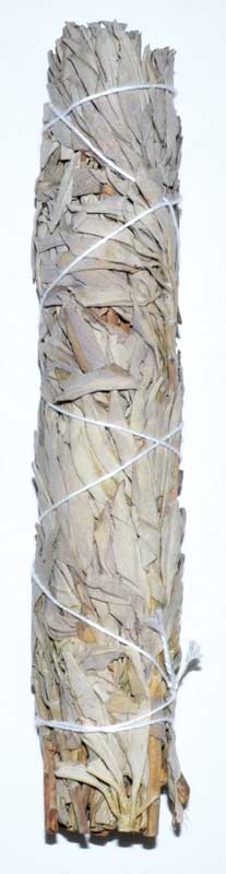 White Sage smudge stick 9"