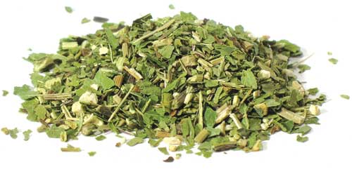 1 Lb Echinacea Purpurea