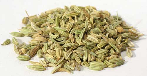1 Lb Fennel Seed - Click Image to Close