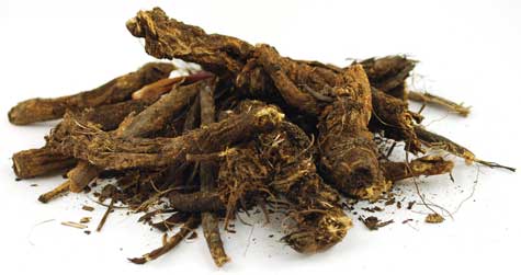 Osha Root whole 1oz Osha Root whole 1oz