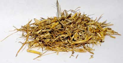 Witches Grass 2oz - Click Image to Close