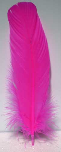 Pink Feather 12 - Click Image to Close