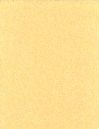 Light Parchment 500 Pack (8 1/2 x 11) - Click Image to Close